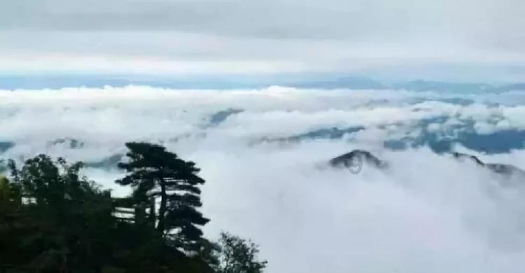 普安红 群众富