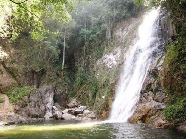 春节临近,福建蔬菜、猪肉、蛋类等价格稳中有降